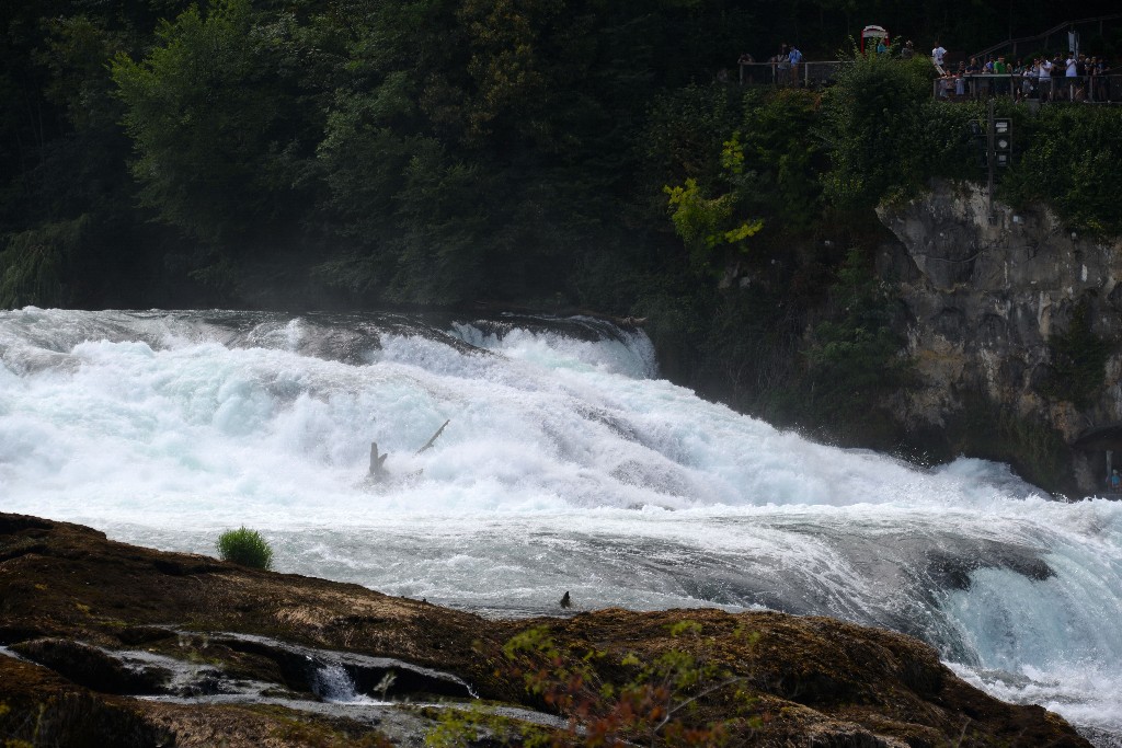 ../Images/Vakantie Duitsland 2018 260.jpg